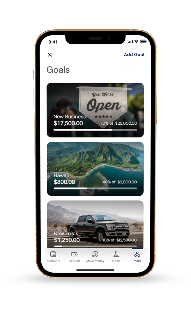 Custom savings goals